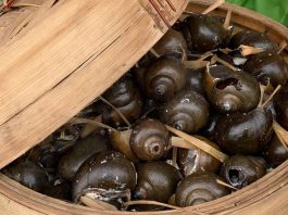 Saigontourist giới thiệu tinh hoa ẩm thực Việt Nam tại phố đi bộ Nguyễn Huệ