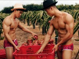 Seahorse tung BST underwear lấy cảm hứng từ vùng đất trái thanh long
