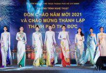 Diện Áo dài Việt Hùng, dàn mẫu dan