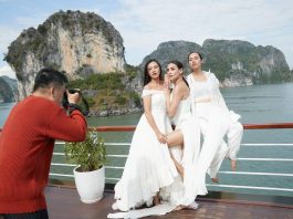 Chung kết Vietnam Why Not: