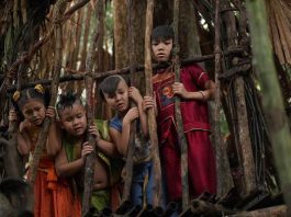 Cả Mẹo Trần Đức Anh: