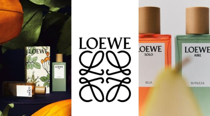 Loewe Sutileza – làn gió thanh khiết cho phong cách hiện đại