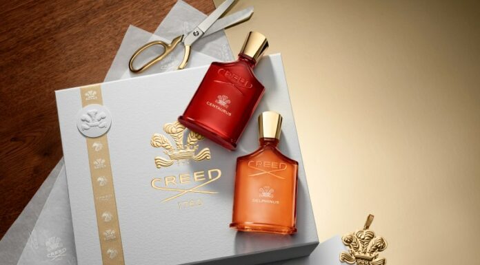 Delphinus & Centaurus – Món quà Giáng Sinh tỏa sáng giữa mùa lễ hội