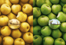 DKNY Delicious Collection – sắc hương biểu tượng của New York