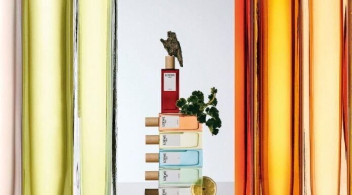 Loewe: quà lễ hội hương thơm tinh hoa