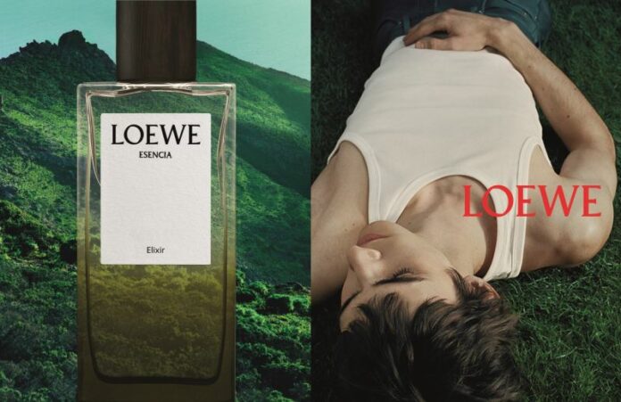 chien dic loewe 2026 (1)