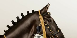 Huyền thoại mùi hương nam tính của Creed – Aventus