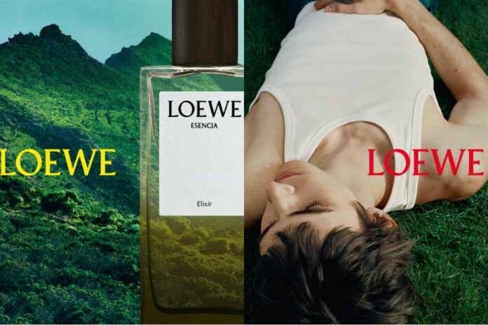 loewe 626 (6)
