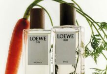 LOEWE 001: Khi Một Khởi Đầu Trở Thành Biểu Tượng